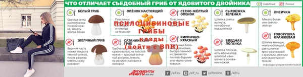 таблы Белокуриха