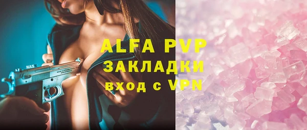 индика Белоозёрский