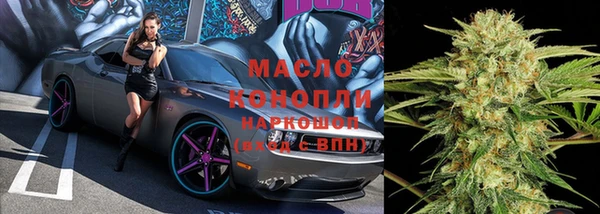 индика Белоозёрский