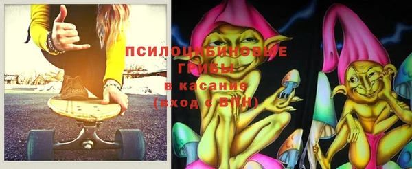 таблы Белокуриха